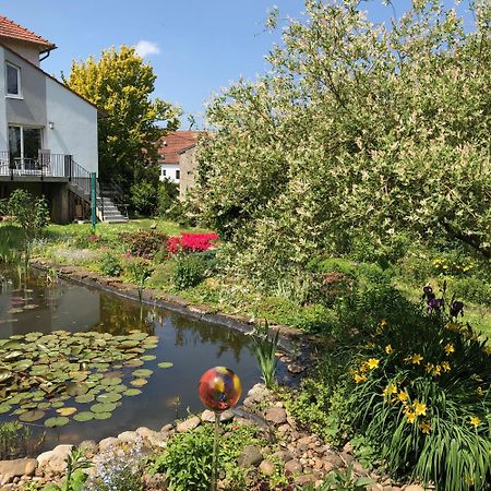 Ferienwohnung Maurer Hasborn-Dautweiler Exteriér fotografie