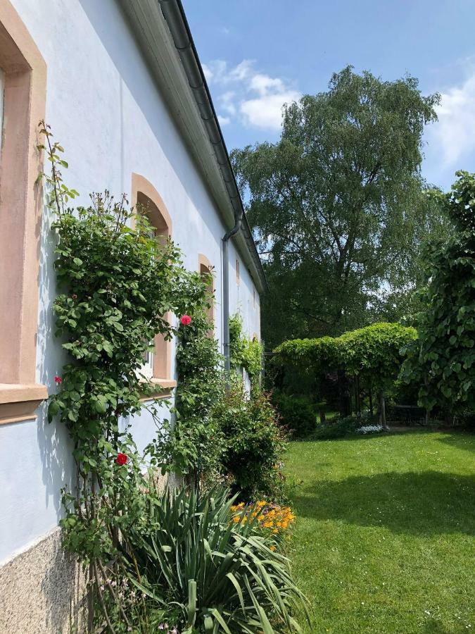 Ferienwohnung Maurer Hasborn-Dautweiler Exteriér fotografie