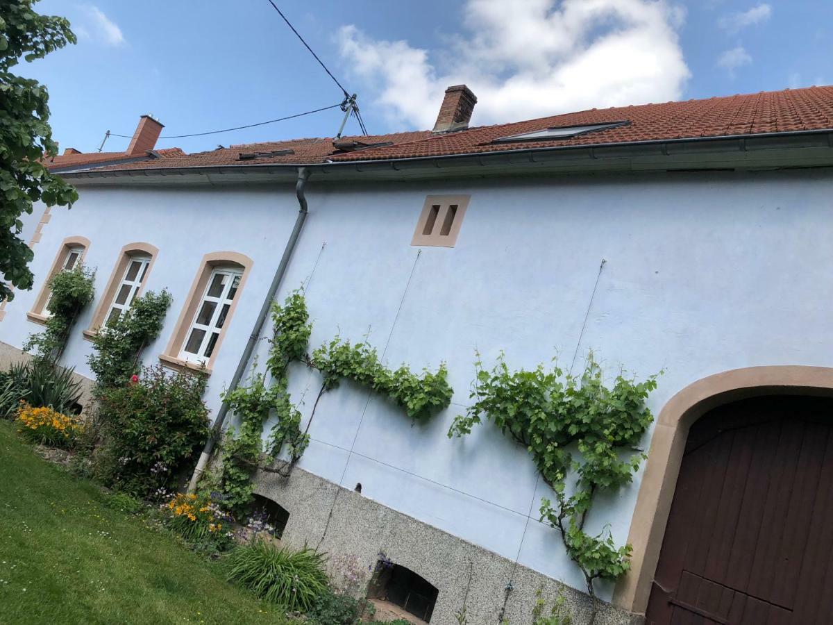 Ferienwohnung Maurer Hasborn-Dautweiler Exteriér fotografie